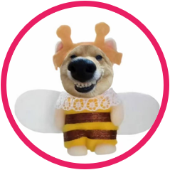 我们说的话 https://www.hanbai.wang/wp-content/uploads/2025/10/2.png